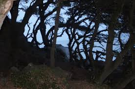 noirmoutier-liseuses-de-bordeaux