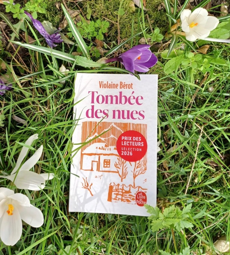 couverture Tombée des nues